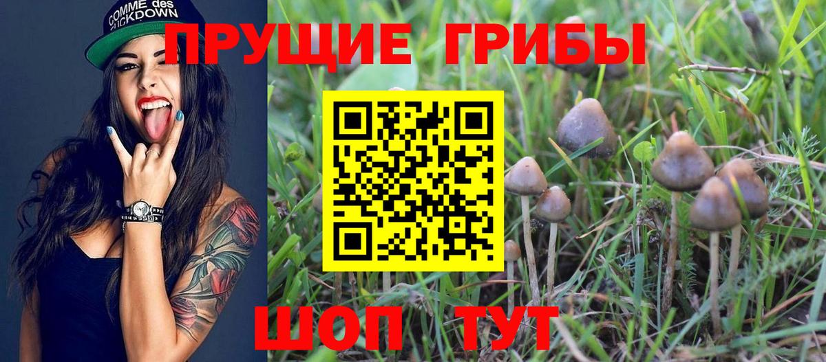 Псилоцибиновые грибы мицелий  Вход с VPN  Березники 
