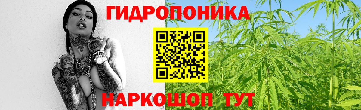 Каннабис Amnesia Березники
